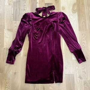 Rebecca Minkoff Velvet Long Sleeve Dress in Deep Fuschia.